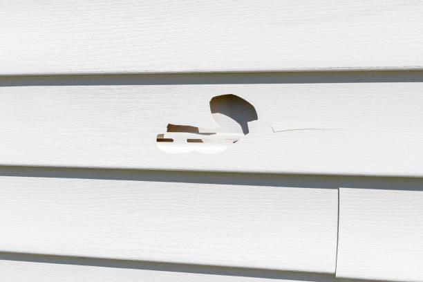 Baltic, CT Siding Installation & Repair Company